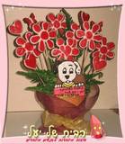עציץ עוגיות פרחים וכלבלב דלמטי